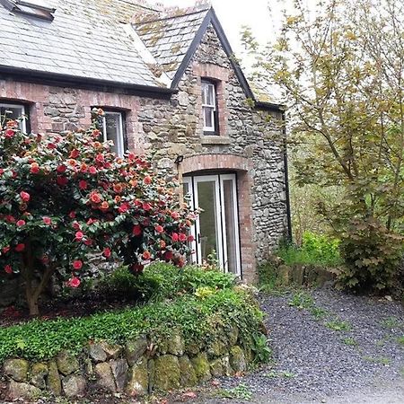 Cwmbrandy Cottage فيشجارد المظهر الخارجي الصورة