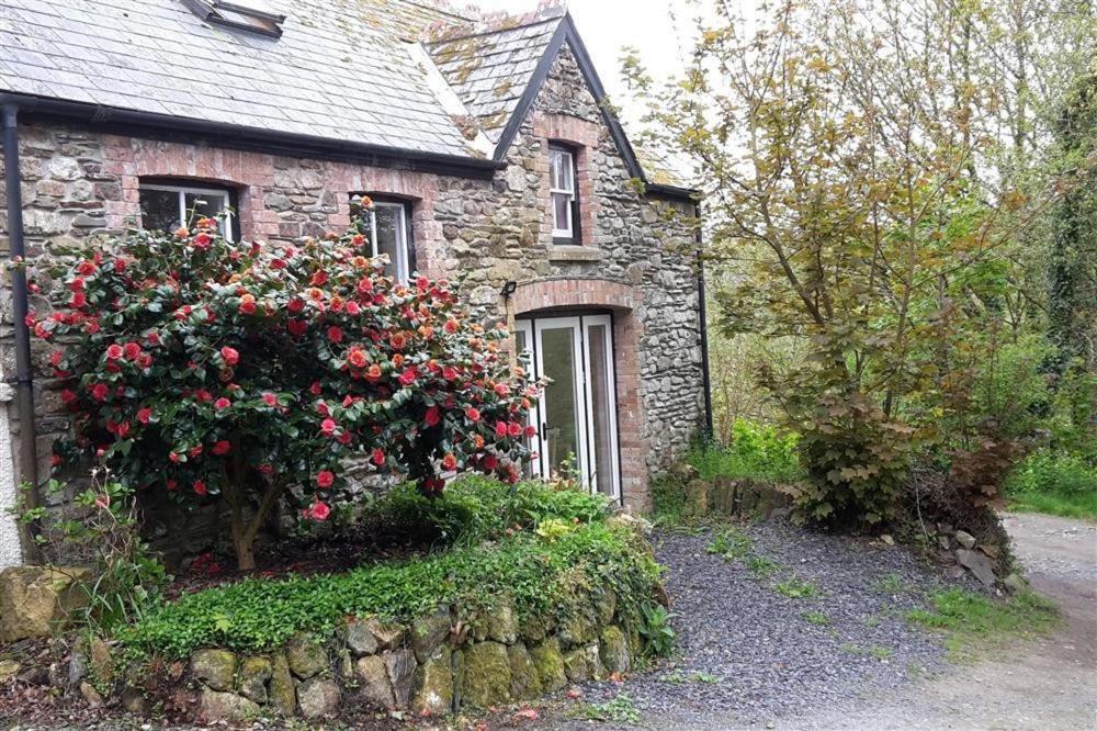 Cwmbrandy Cottage فيشجارد المظهر الخارجي الصورة