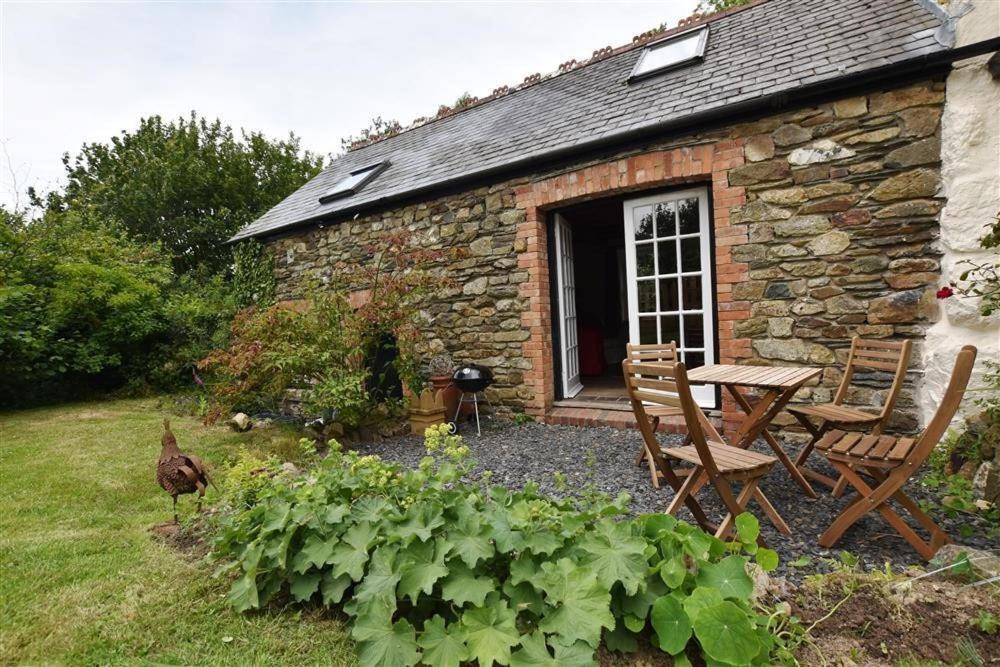 Cwmbrandy Cottage فيشجارد المظهر الخارجي الصورة