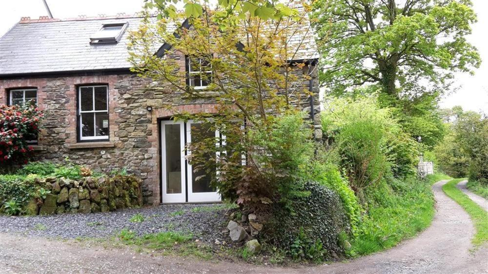 Cwmbrandy Cottage فيشجارد المظهر الخارجي الصورة